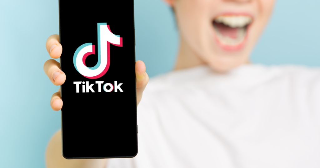 TikTok Video Downloader  